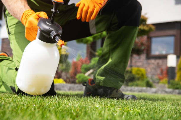 Best Flea Control Services  in West Des Moines, IA