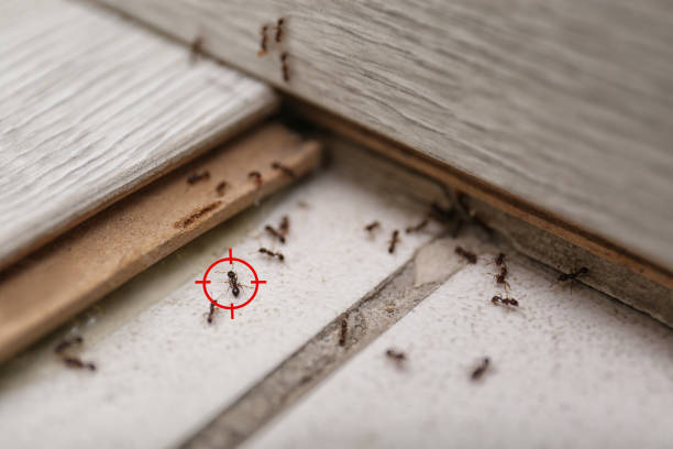 Best Commercial Pest Control Services  in West Des Moines, IA