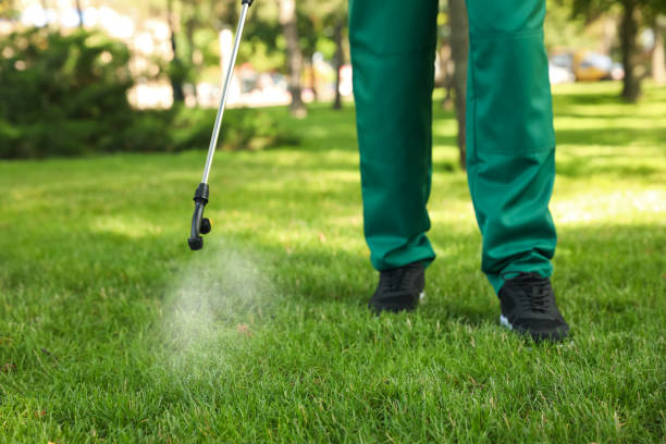 Best Wasp Removal Services  in West Des Moines, IA