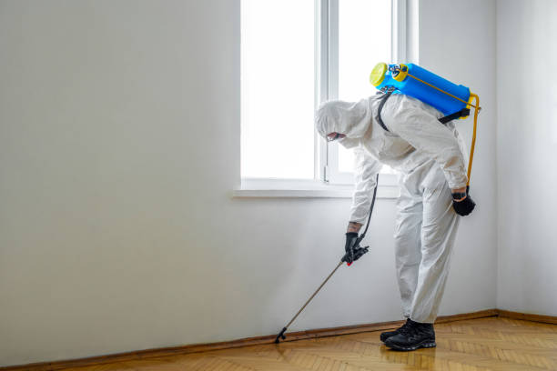 Wildlife Control Services in West Des Moines, IA