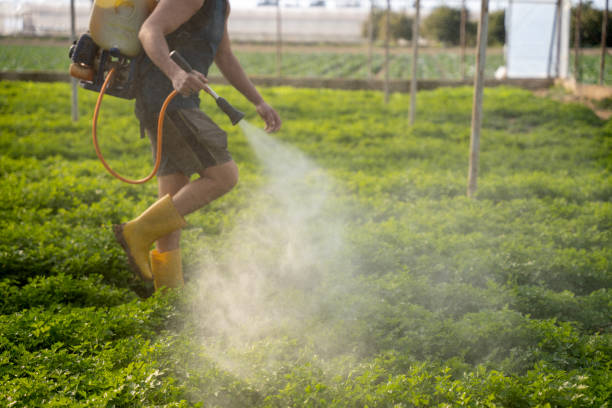 Best Affordable Pest Control Services  in West Des Moines, IA