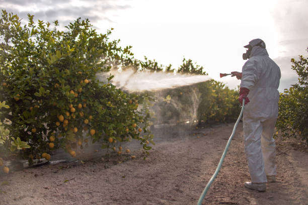 Best Insect Control  in West Des Moines, IA