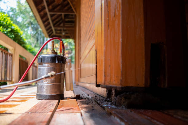 Best Cockroach Control Services  in West Des Moines, IA