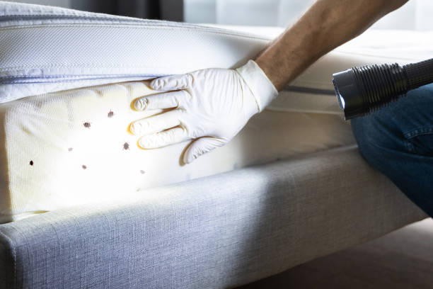 Best Pest Removal Services  in West Des Moines, IA