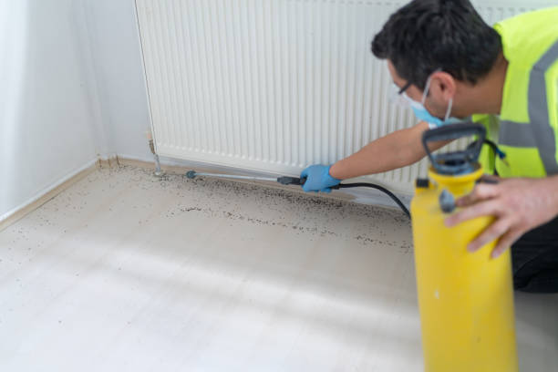 Professional Pest Control in West Des Moines, IA