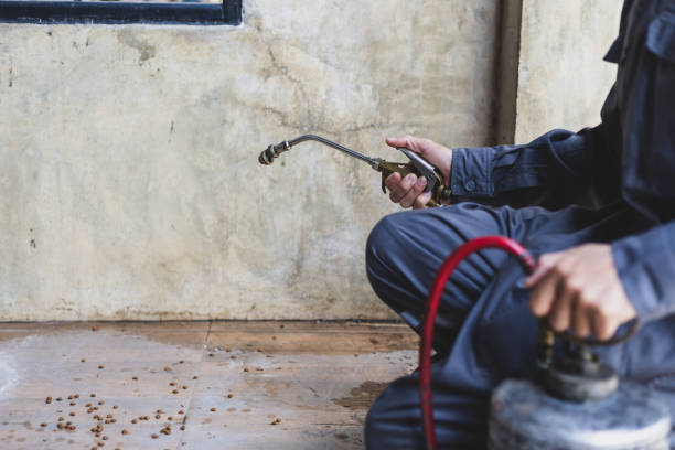 Pest Prevention Services in West Des Moines, IA