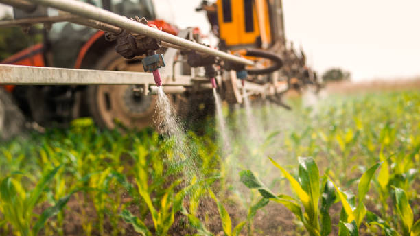 Best Best Pest Control Companies  in West Des Moines, IA
